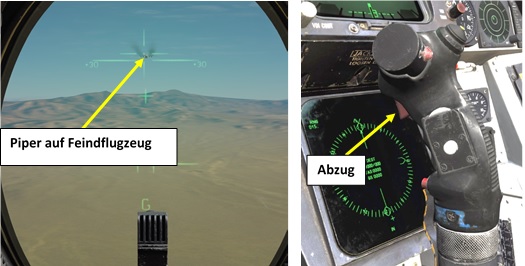 Piper ohne Raute, Bild von Gladius, Gemeinfrei
